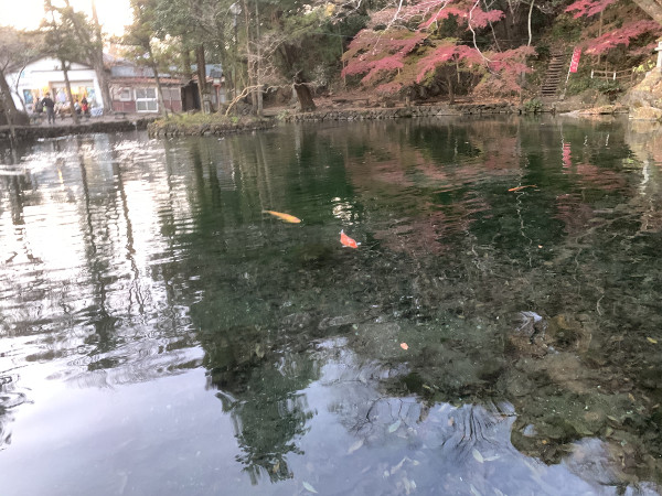 栃木佐野】福寿荘売店。出流原弁天池にある駄菓子屋チックなまちの駅 